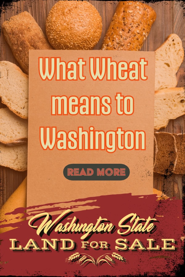 what wheat means to washington farmers and communities